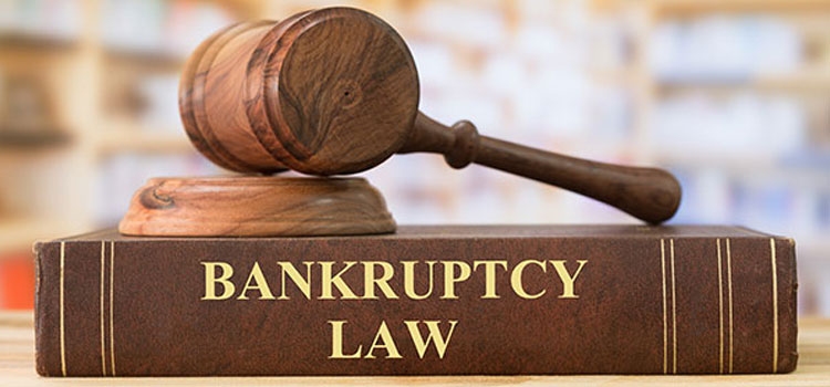 Chapter 7 Bankruptcy Lawyers in Santa Ana