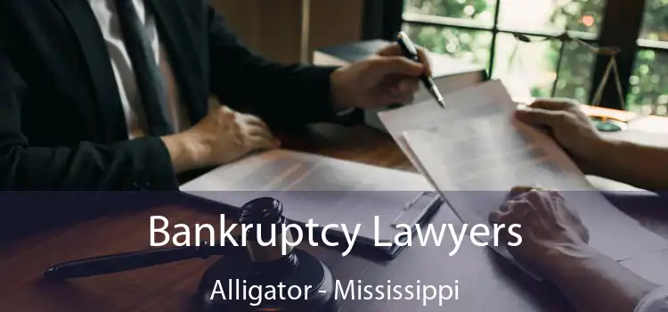 Bankruptcy Lawyers Alligator - Mississippi