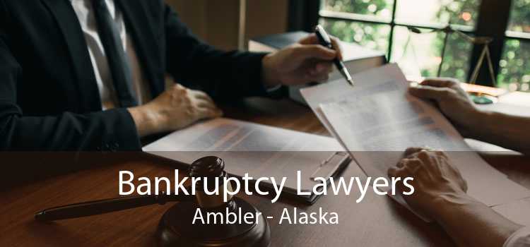 Bankruptcy Lawyers Ambler - Alaska