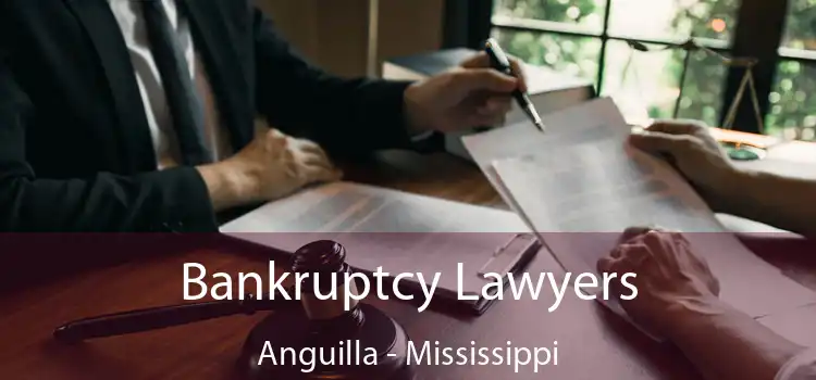 Bankruptcy Lawyers Anguilla - Mississippi