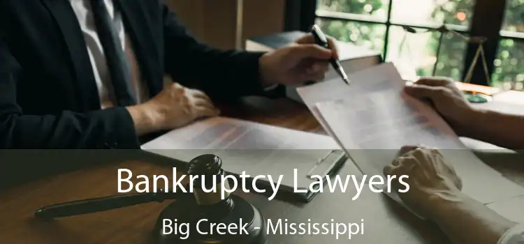 Bankruptcy Lawyers Big Creek - Mississippi