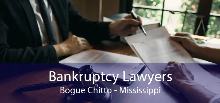 Bankruptcy Lawyers Bogue Chitto - Mississippi