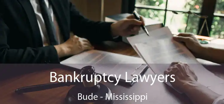 Bankruptcy Lawyers Bude - Mississippi