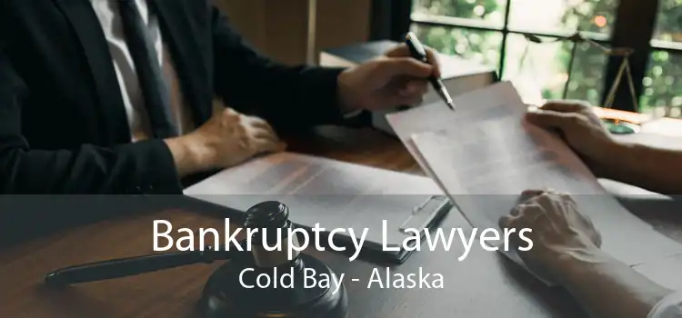 Bankruptcy Lawyers Cold Bay - Alaska
