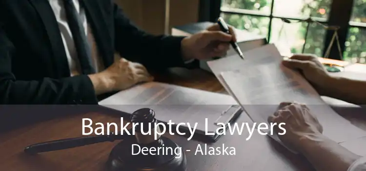 Bankruptcy Lawyers Deering - Alaska