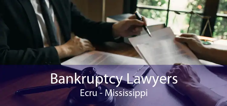 Bankruptcy Lawyers Ecru - Mississippi