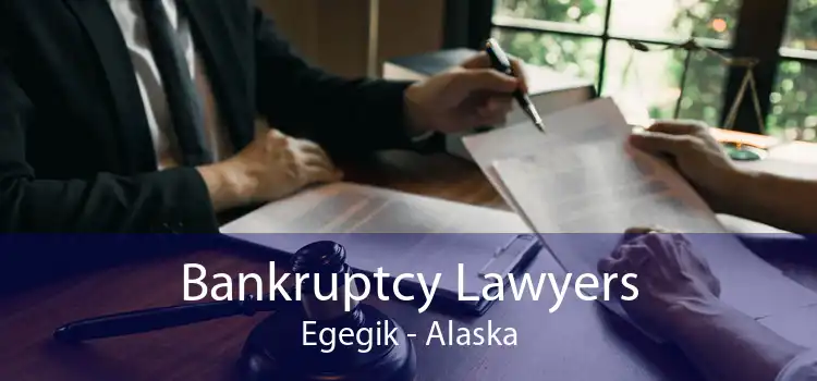 Bankruptcy Lawyers Egegik - Alaska