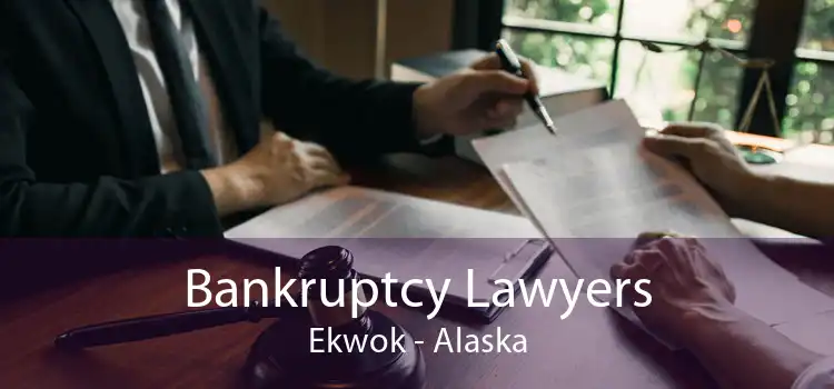 Bankruptcy Lawyers Ekwok - Alaska