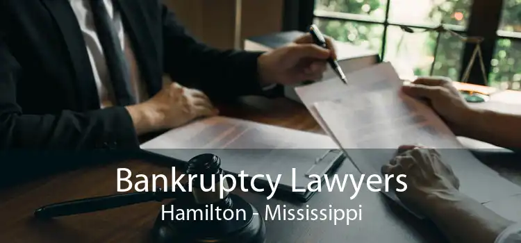Bankruptcy Lawyers Hamilton - Mississippi