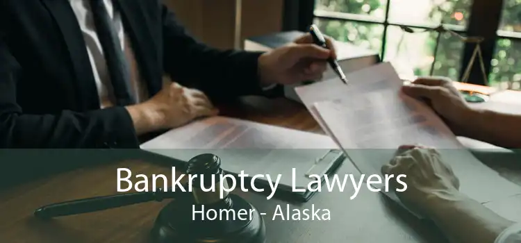 Bankruptcy Lawyers Homer - Alaska