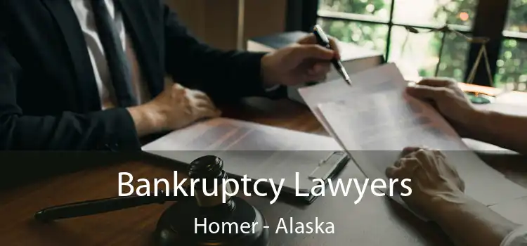 Bankruptcy Lawyers Homer - Alaska