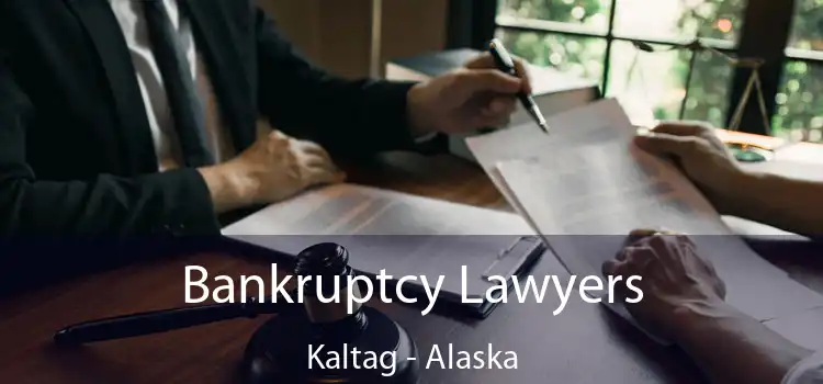 Bankruptcy Lawyers Kaltag - Alaska