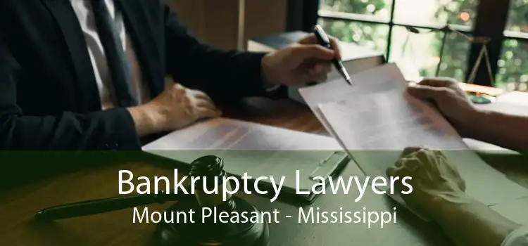 Bankruptcy Lawyers Mount Pleasant - Mississippi