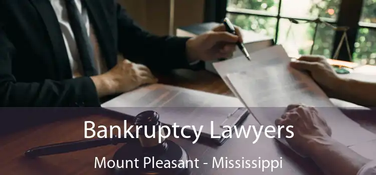 Bankruptcy Lawyers Mount Pleasant - Mississippi