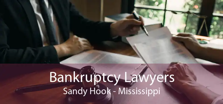 Bankruptcy Lawyers Sandy Hook - Mississippi