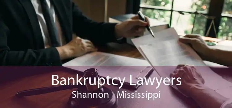 Bankruptcy Lawyers Shannon - Mississippi