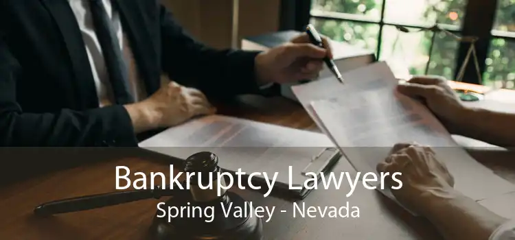 Bankruptcy Lawyers Spring Valley - Nevada