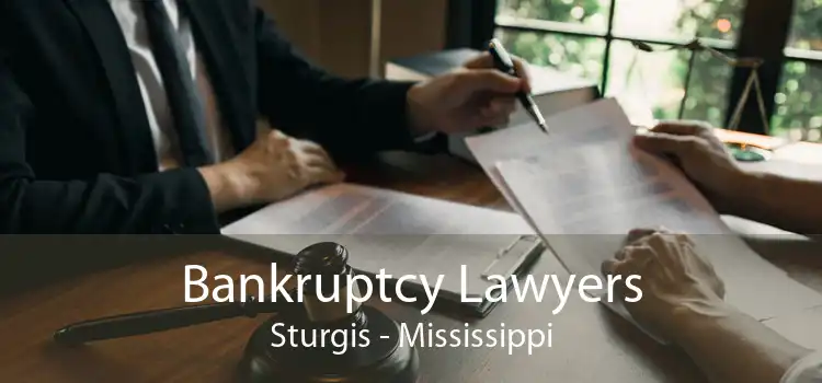Bankruptcy Lawyers Sturgis - Mississippi