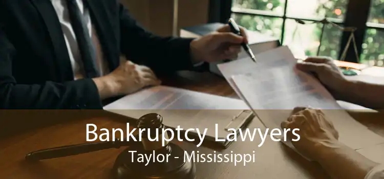 Bankruptcy Lawyers Taylor - Mississippi