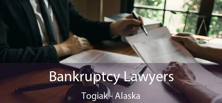 Bankruptcy Lawyers Togiak - Alaska