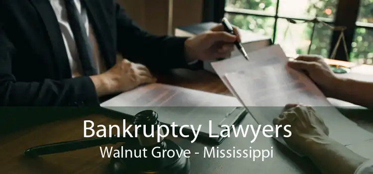 Bankruptcy Lawyers Walnut Grove - Mississippi