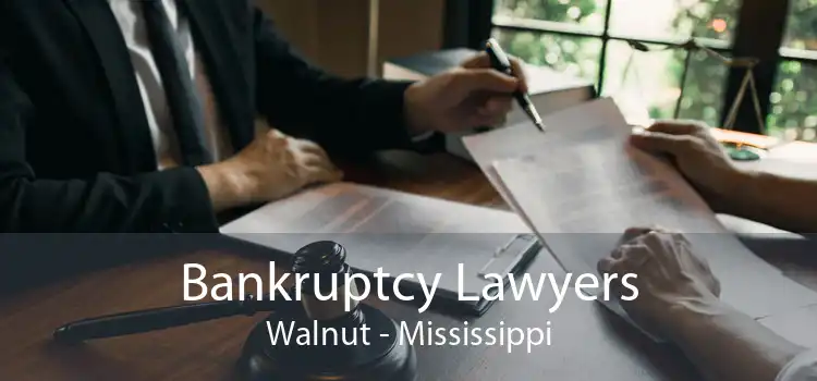 Bankruptcy Lawyers Walnut - Mississippi