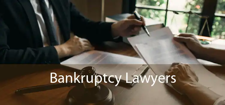 Bankruptcy Lawyers 