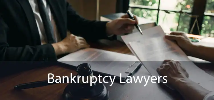 Bankruptcy Lawyers 