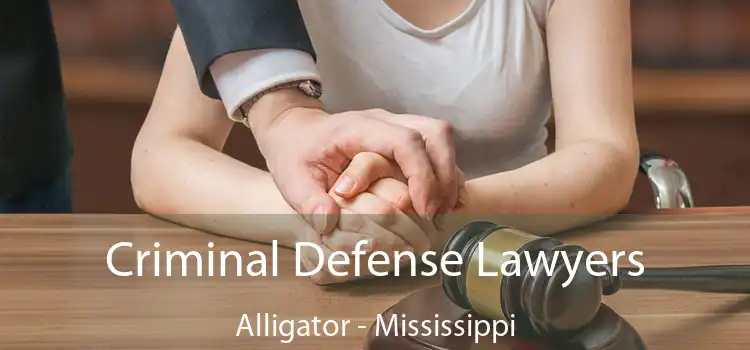 Criminal Defense Lawyers Alligator - Mississippi