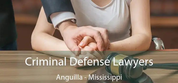 Criminal Defense Lawyers Anguilla - Mississippi