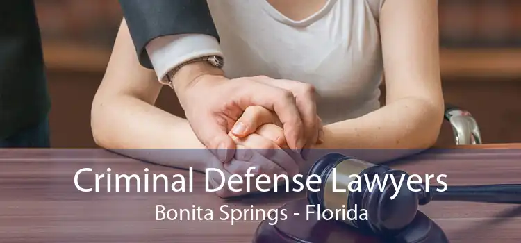 Criminal Defense Lawyers Bonita Springs - Florida