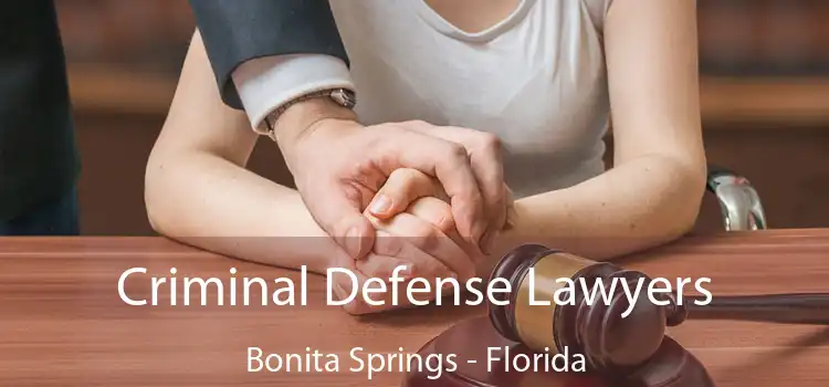 Criminal Defense Lawyers Bonita Springs - Florida