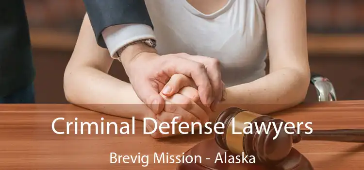 Criminal Defense Lawyers Brevig Mission - Alaska