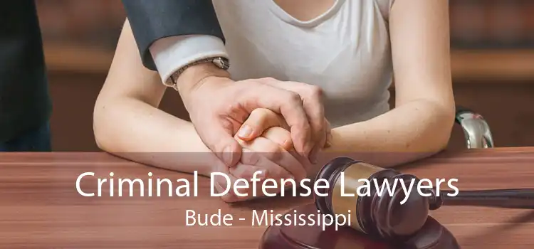 Criminal Defense Lawyers Bude - Mississippi