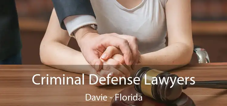 Criminal Defense Lawyers Davie - Florida