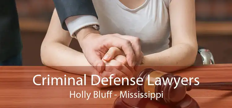 Criminal Defense Lawyers Holly Bluff - Mississippi