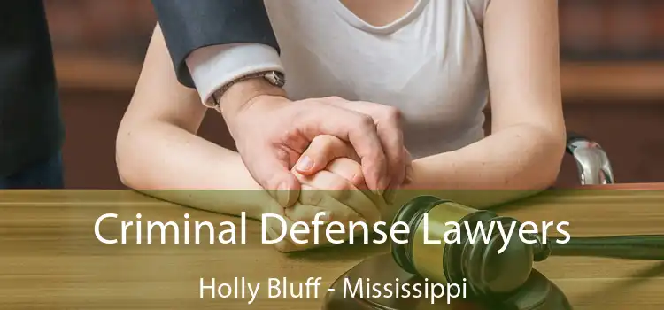 Criminal Defense Lawyers Holly Bluff - Mississippi