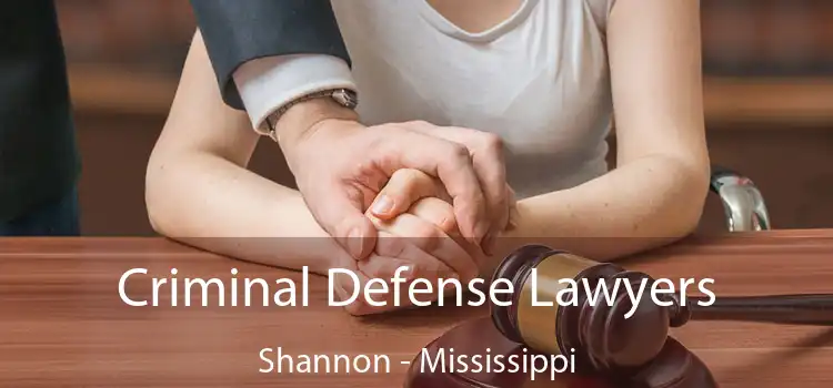 Criminal Defense Lawyers Shannon - Mississippi