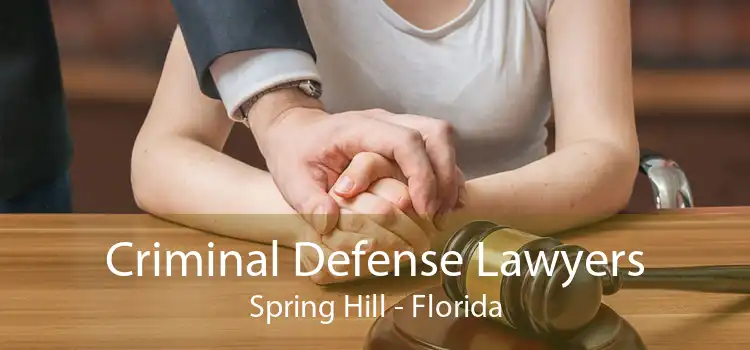 Criminal Defense Lawyers Spring Hill - Florida