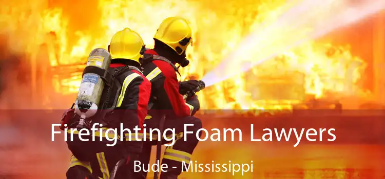 Firefighting Foam Lawyers Bude - Mississippi