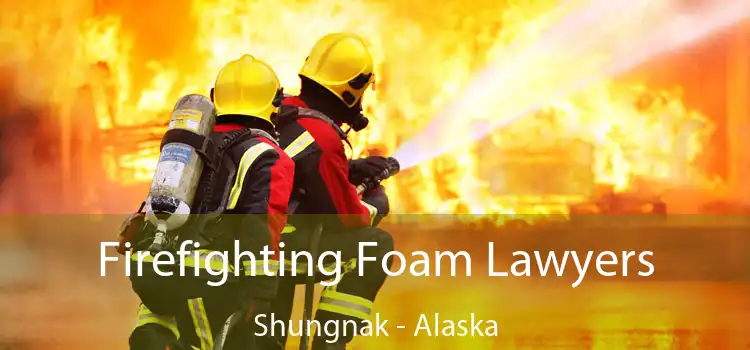 Firefighting Foam Lawyers Shungnak - Alaska