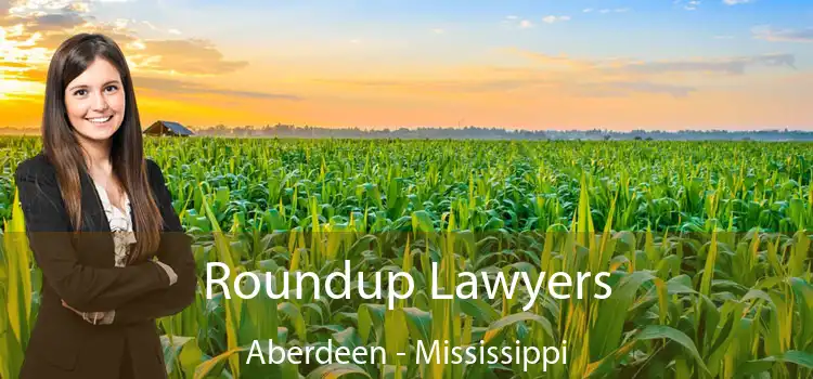 Roundup Lawyers Aberdeen - Mississippi