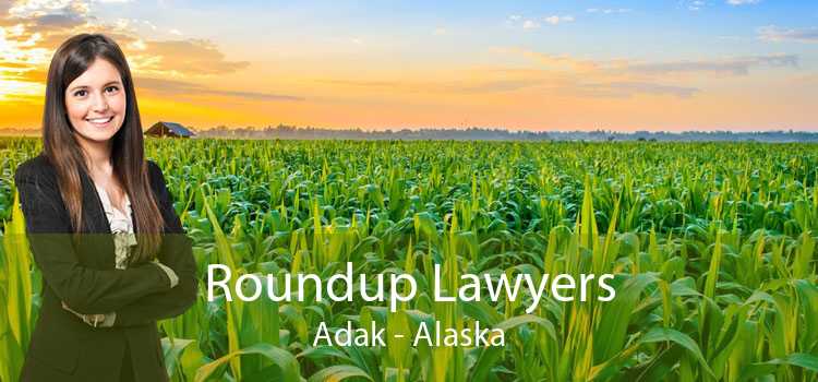 Roundup Lawyers Adak - Alaska