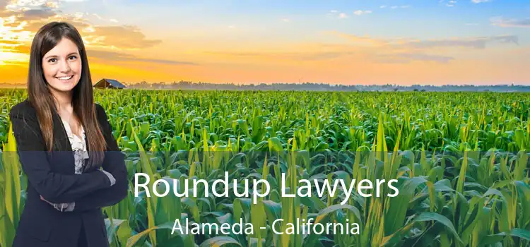 Roundup Lawyers Alameda - California