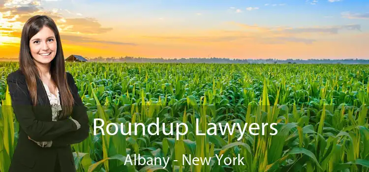 Roundup Lawyers Albany - New York