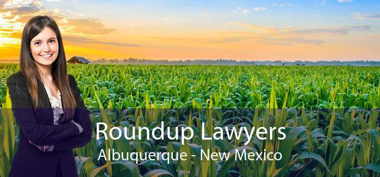 Roundup Lawyers Albuquerque - New Mexico