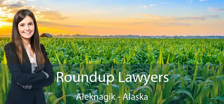 Roundup Lawyers Aleknagik - Alaska