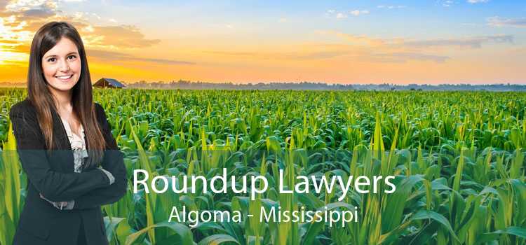 Roundup Lawyers Algoma - Mississippi