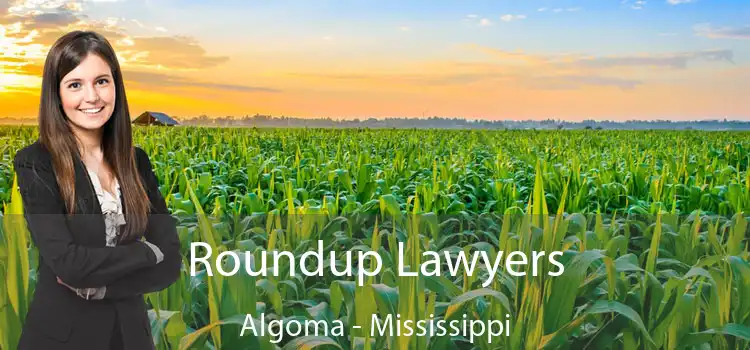 Roundup Lawyers Algoma - Mississippi