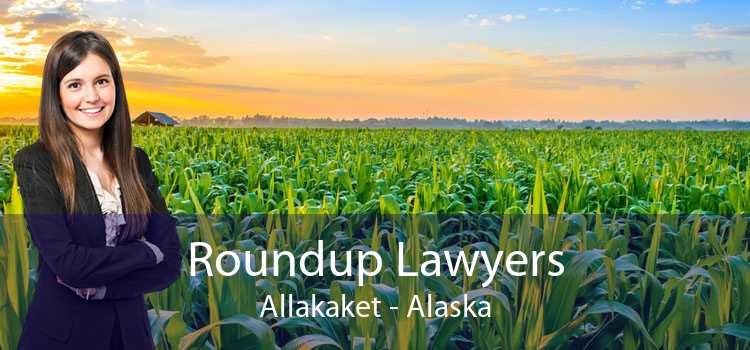Roundup Lawyers Allakaket - Alaska